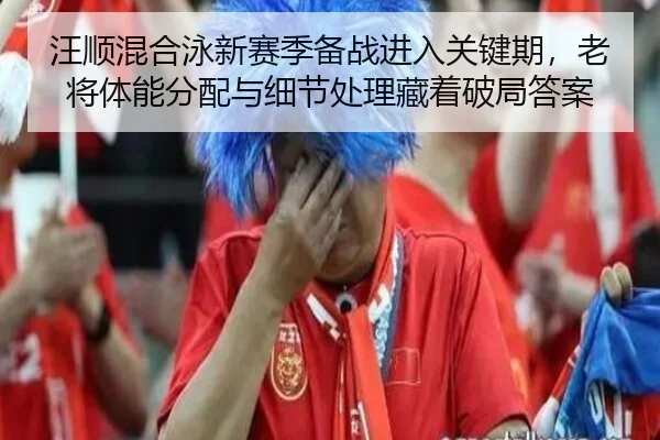 wang-shun-hun-he-yong-xin-sai-ji-bei-zhan-jin-ru-guan-jian-qi-lao-jiang-ti-neng-fen-pei-yu-xi-jie-chu-li-cang-zhe-po-ju-2-245.jpg